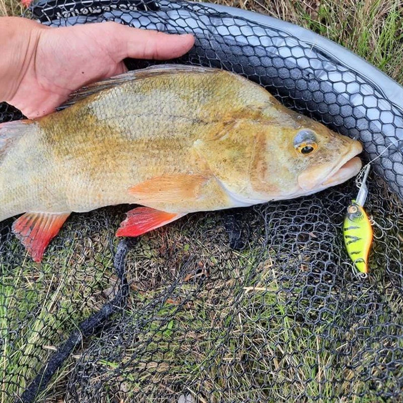 Westin Buzzbite Crankbaits 5cm/6g